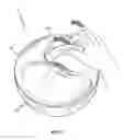 Fig. 10 - Salad spinner