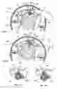 Fig. 11 - Salad spinner