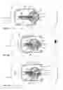 Fig. 18 - Salad spinner