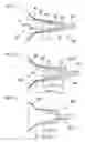 Fig. 04 - Teat cup for laboratory animals
