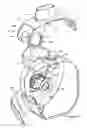 Fig. 16 - Inhaler