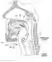 Fig. 01 - Devices, systems and methods using magnetic force systems affecting the tongue or hyoid muscles in the upper airway