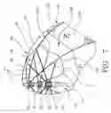 Fig. 07 - Ventilated umbrella