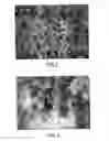 Fig. 03 - Device comprising at least one type of tubular nanostructure having at least one complex pigment on the surface thereof