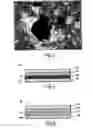Fig. 04 - Device comprising at least one type of tubular nanostructure having at least one complex pigment on the surface thereof