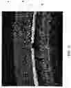 Fig. 06 - Tire with integral foamed noise damper