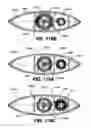 Fig. 62 - SHUTTER-TYPE COVERING FOR ARCHITECTURAL OPENINGS
