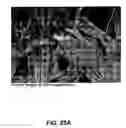 Fig. 17 - Tissue products containing a polymer dispersion