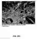 Fig. 19 - Tissue products containing a polymer dispersion