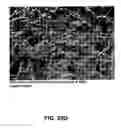 Fig. 20 - Tissue products containing a polymer dispersion
