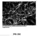 Fig. 19 - Creping process and products made therefrom