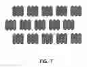 Fig. 07 - Embossed tissue products