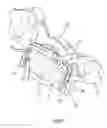 Fig. 08 - Brake shoe return mechanism