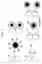 Fig. 06 - Activation of molecular catalysts using semiconductor quantum dots