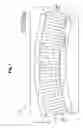 Fig. 02 - Corrugated density baffle