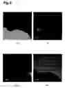 Fig. 07 - Dielectric device and method of manufacturing the same