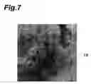 Fig. 08 - Dielectric device and method of manufacturing the same