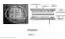 Fig. 02 - Flexible fuel cell