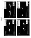 Fig. 06 - Method for etching photolithographic substrates