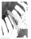 Fig. 09 - Laser shock processing with momentum trap