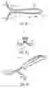 Fig. 13 - Removable grip for handle