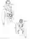 Fig. 02 - Child carriers and methods for operating the same