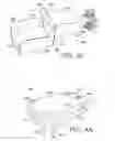 Fig. 07 - GIFT PACKAGING