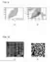 Fig. 06 - System, method, and program for extracting invisible information