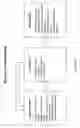 Fig. 99 - Hand-supportable digital image capturing and processing system employing an area-type image sensing array exposed to illumination from an LED-based illumination array only when all sensor elements in said image-sensing array are activated and in a state of integration