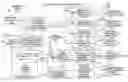 Fig. 01 - Digital image capturing and processing system employing an area-type image sensing array exposed to narrow-band illumination from a narrow-band illumination subsystem for a time duration controlled using a photodetector operated independently from said area-type image sensing array