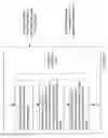 Fig. 109 - Digital image capturing and processing system employing an area-type image sensing array exposed to narrow-band illumination from a narrow-band illumination subsystem for a time duration controlled using a photodetector operated independently from said area-type image sensing array