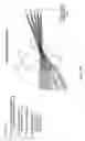 Fig. 19 - Digital image capturing and processing system employing an area-type image sensing array exposed to narrow-band illumination from a narrow-band illumination subsystem for a time duration controlled using a photodetector operated independently from said area-type image sensing array
