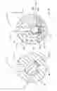 Fig. 06 - Dispensing apparatus