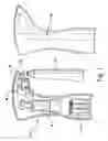 Fig. 02 - Fluid dispensing device