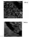 Fig. 40 - Ion sources, systems and methods