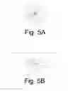 Fig. 05 - Method for positron emission imaging