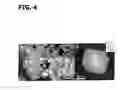 Fig. 05 - Ternary oxide nanostructures and methods of making same