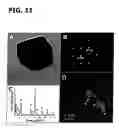 Fig. 12 - Ternary oxide nanostructures and methods of making same
