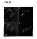 Fig. 19 - Ternary oxide nanostructures and methods of making same