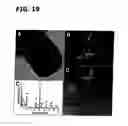 Fig. 20 - Ternary oxide nanostructures and methods of making same