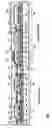 Fig. 04 - Semiconductor device and manufacturing method thereof