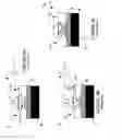 Fig. 06 - Electrically floating body memory cell and array, and method of operating or controlling same