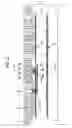 Fig. 03 - Electro-optical device and electronic apparatus