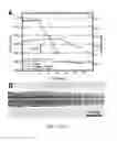 Fig. 04 - Shape manipulation of nanostructures