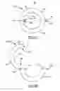 Fig. 10 - MULTI-STAGE FERROFLUIDIC SEAL HAVING ONE OR MORE SPACE-OCCUPYING ANNULUS ASSEMBLIES SITUATED WITHIN ITS INTERSTAGE SPACES FOR REDUCING THE GAS LOAD THEREIN