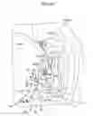 Fig. 30 - Vehicle body structure