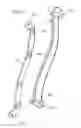 Fig. 06 - Ergonomic chair backrest