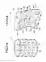 Fig. 22 - Claw pole motor stator