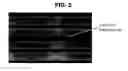 Fig. 05 - Electron emission display
