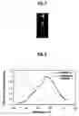 Fig. 05 - Luminescence system, method of luminescence, and chemical substance for luminescence